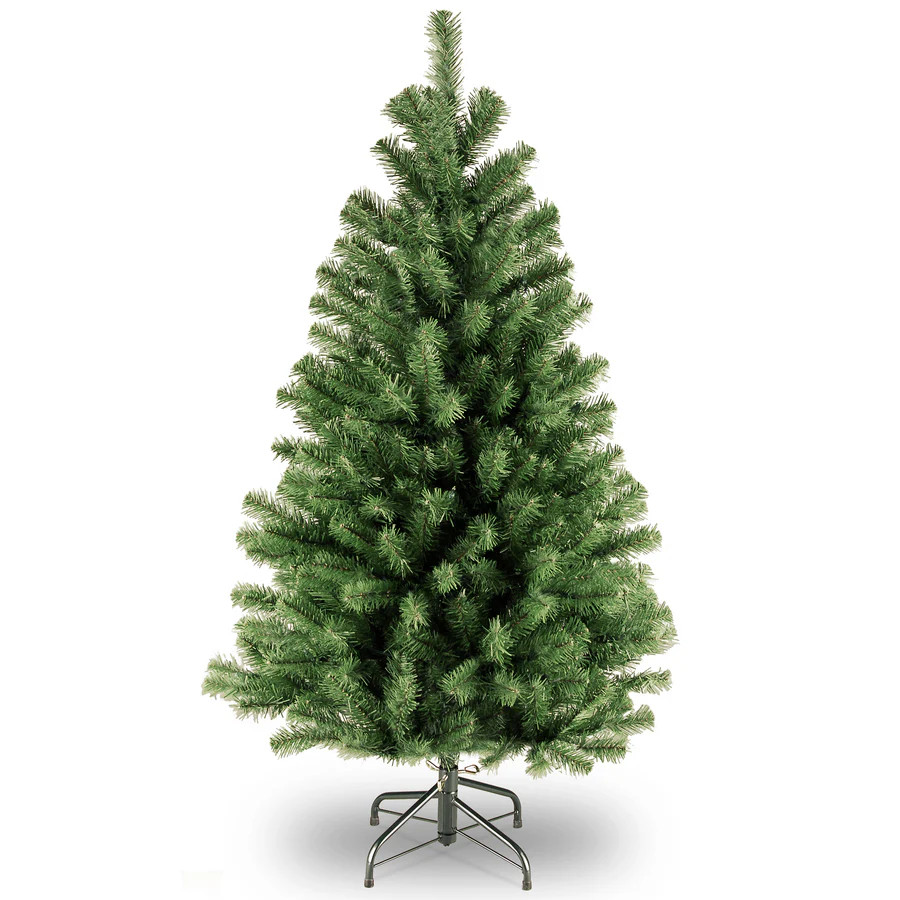 16 ft. North Valley Spruce Tree | National Tree Company