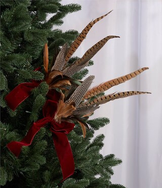 Miracle & Wonder Collection Pheasant Feather Pick Set | Dillard's