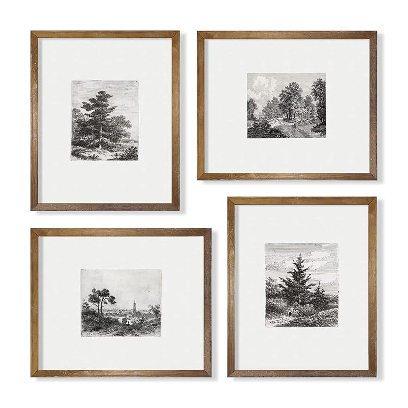 Black White Tree Sketch Drawing - Minimalist Neutral Botanical Set - Vintage Woodland Picture Pri... | Amazon (US)