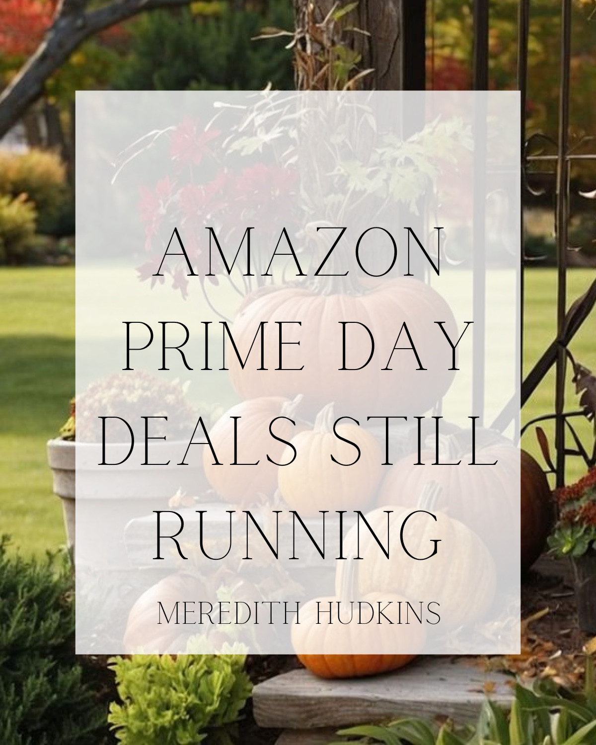 Amazon, Amazon, home Amazon, fashion, fall fashion, women’s fashion, household essentials bedroom, primary bedroom, guest bedroom, entryway, home decor, beauty, health, fitness, workout, gym, women’s accessories, organization, Meredith Hudkins, sale finds, ootd, kids toys, fall home, leaked deals, Amazon prime, autumn, fall finds



#LTKxPrimeDay #LTKFindsUnder50 #LTKSaleAlert