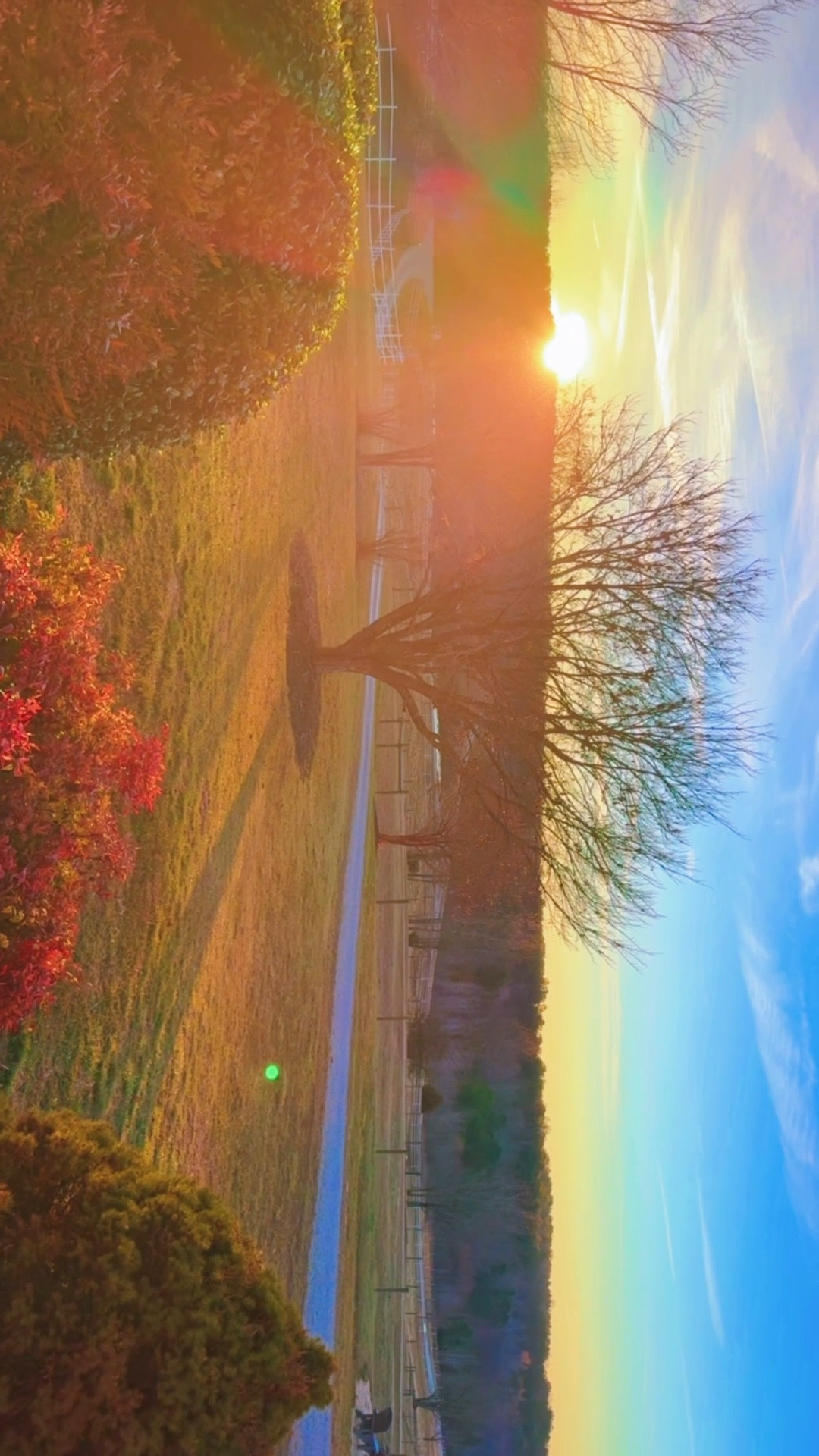 Sunrise 🌅 hour here on the farm is everything I could’ve dreamed of and more 🥹 - thank you, Jesus, for the pure gift of this wonderful land!! 🌾