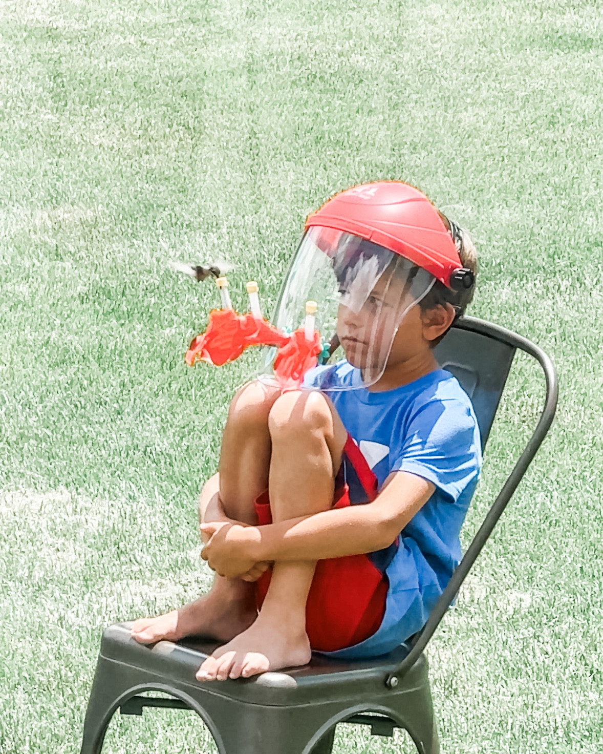 This was so fun! The ultimate hummingbird feeder, the boys are obsessed!

#LTKHome #LTKFindsUnder50