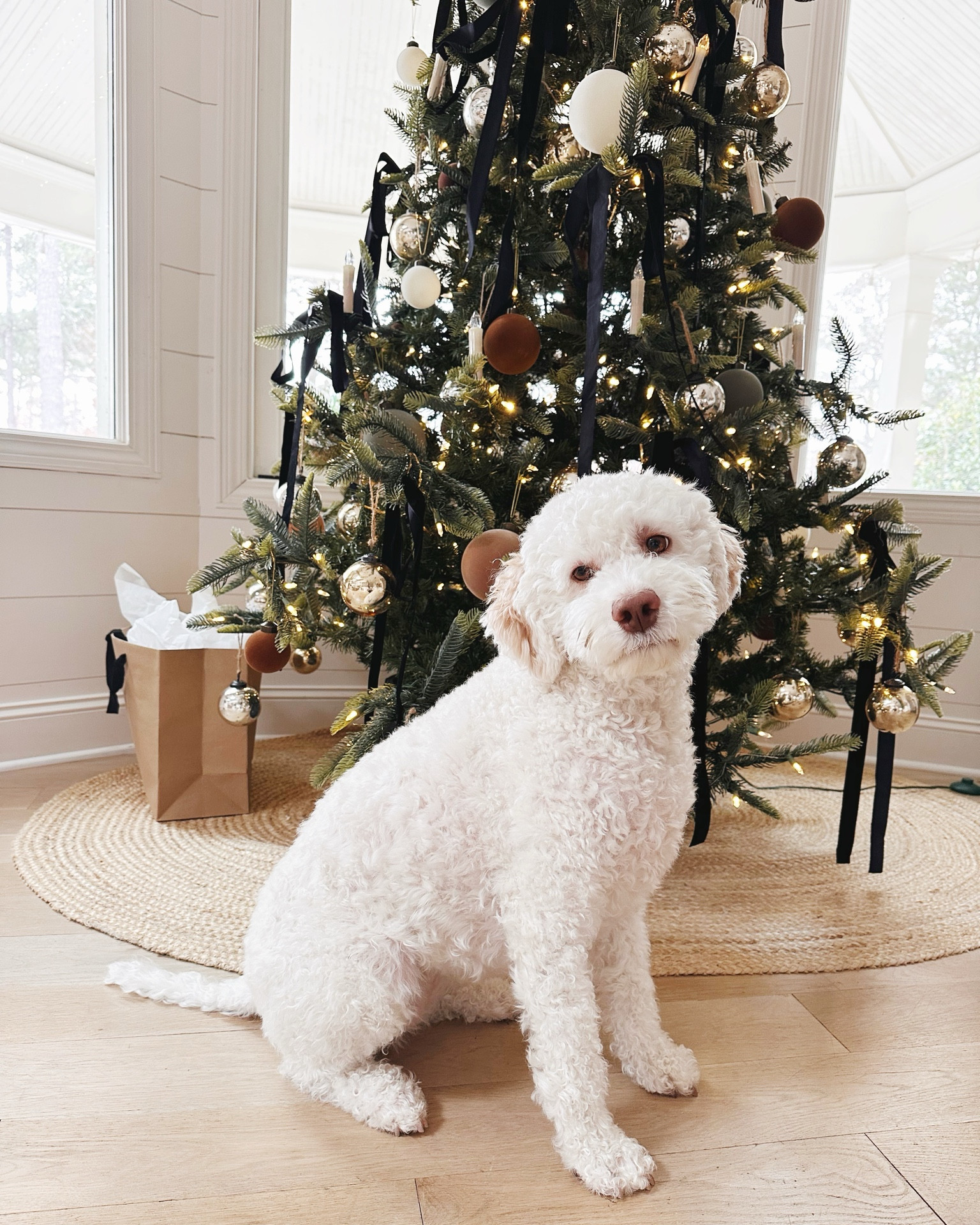 The Christmas tree is finally decorated! I used black velvet bows, various muted velvet ornaments, flicker candles and added in some mercury ornaments 🎄

#LTKHoliday #LTKHome #LTKSeasonal