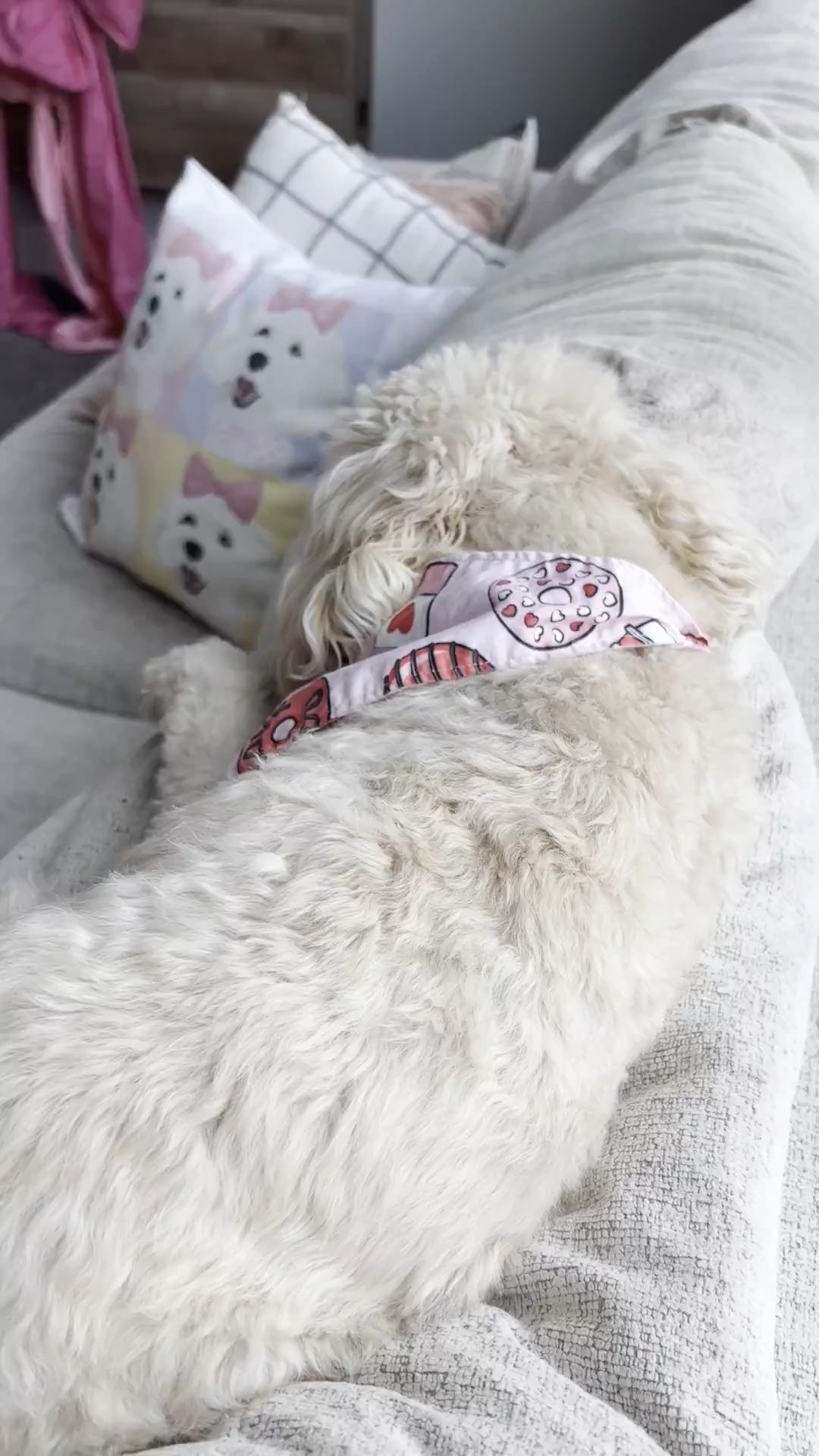 Dog bandana is from @zigphieandco

#LTKValentine #LTKmomlife #LTKHome