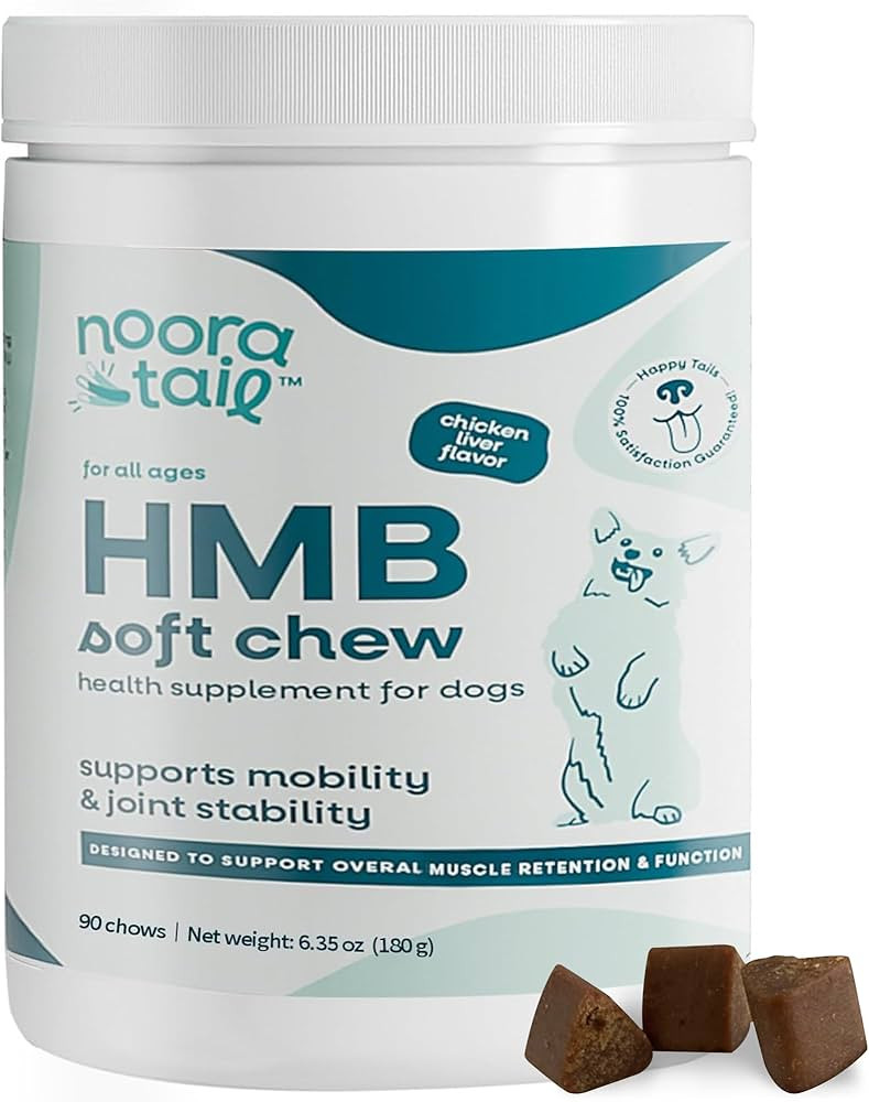HMB Soft Chew for Dogs | Amazon (US)