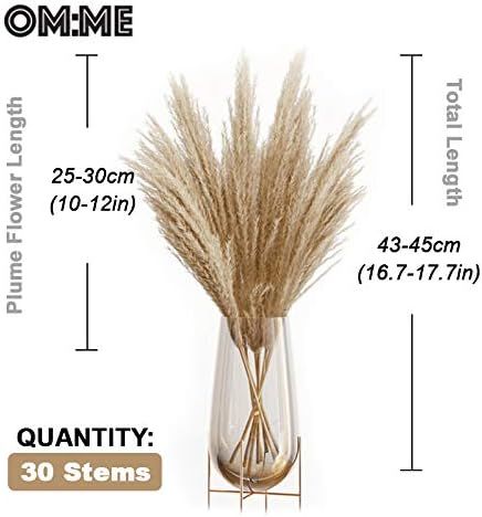 OMME Dried Pampas Grass Phragmites Large Natural (Tan, 17) | Amazon (US)