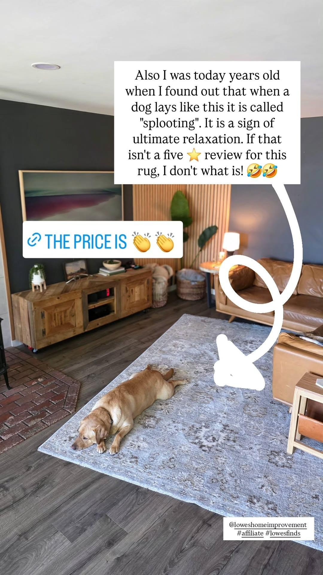 Our new living room rug is so cozy and soft that our dog can't help but reach peak relaxation mode! #rug 

 #LTKHome