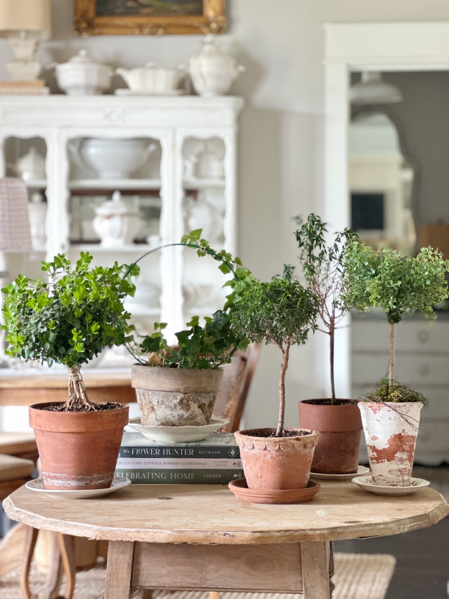 I have a love for topiaries!

Unfortunately, I sometimes struggle with keeping them alive inside the house. 

A couple of these are faux that look very realistic and if you mix them in with some live ones, you usually can’t even tell which ones aren’t real.

I also have a blog post sharing how to make your own realistic faux topiary. 

You can find it at vintagehomedesigns.com and search “topiary”. 

#springdecor #topiaries #fauxtopiary #myrtletopiary #plants #spring

#LTKHome #LTKStyleTip #LTKFindsUnder50