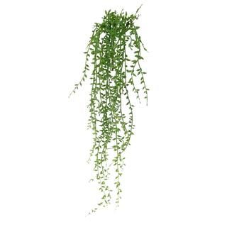 Hanging String of Pearls Bush by Ashland® | Michaels Stores