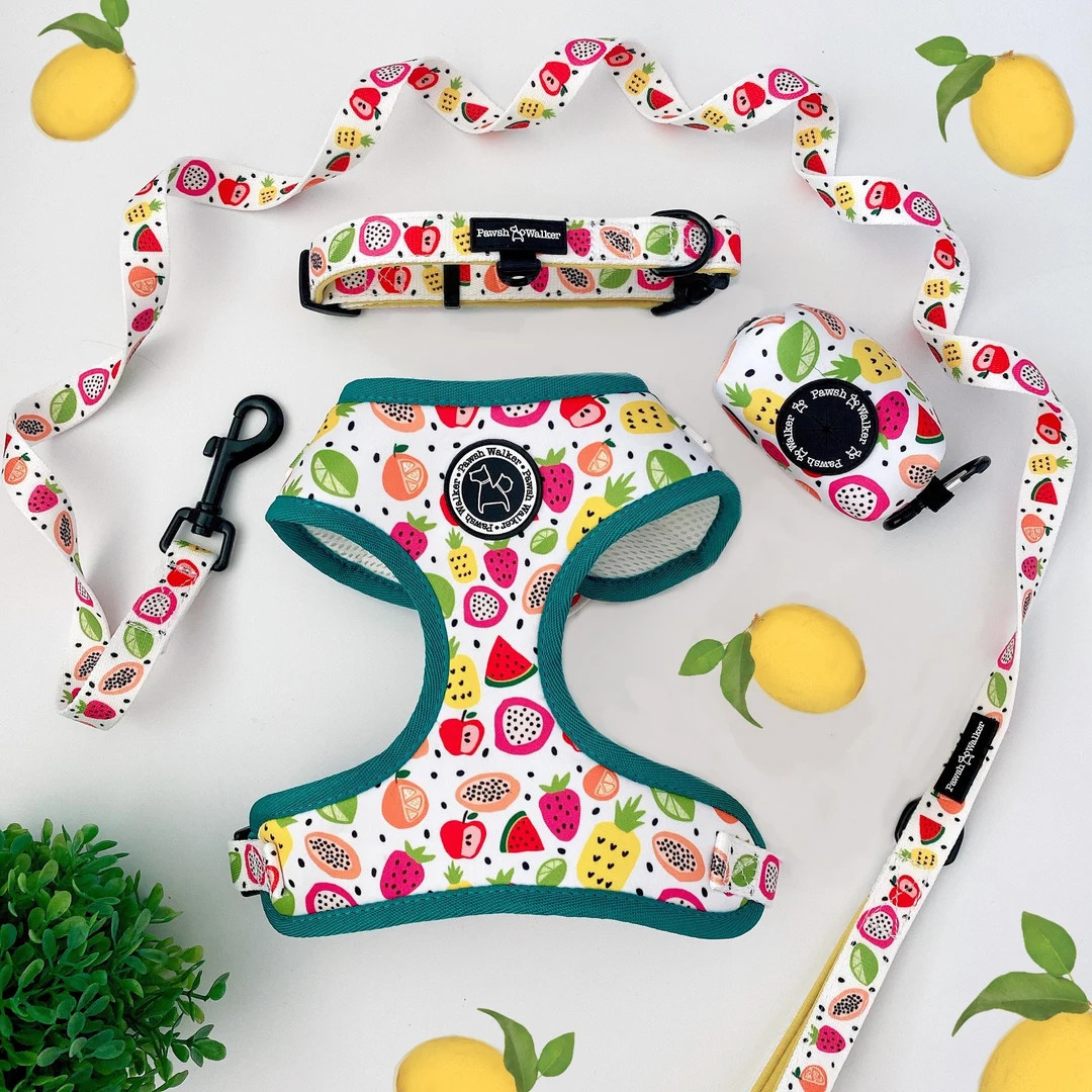 Dog harness, dog boy harness, fruit harness, summer harness, harness set, dog bundle set, dog har... | Etsy (US)