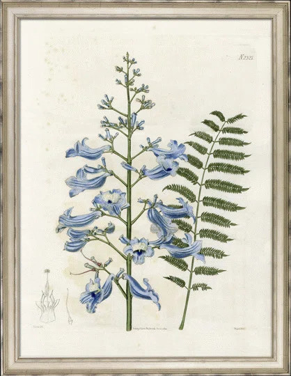 Large Blue Botanical " Large Blue Botanical I " | Wayfair North America