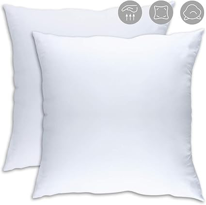 UVOGOM 20x20 Pillow Insert 2 Packs Decorative Fluffy Premium Hypoallergenic Square Pillows,Cushio... | Amazon (US)