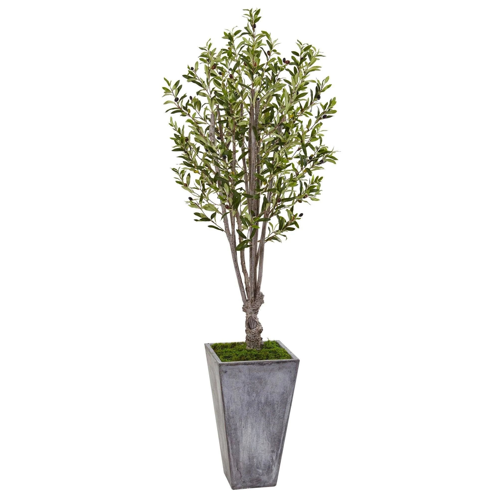 6’ Olive Tree in Stone Planter | Nearly Natural