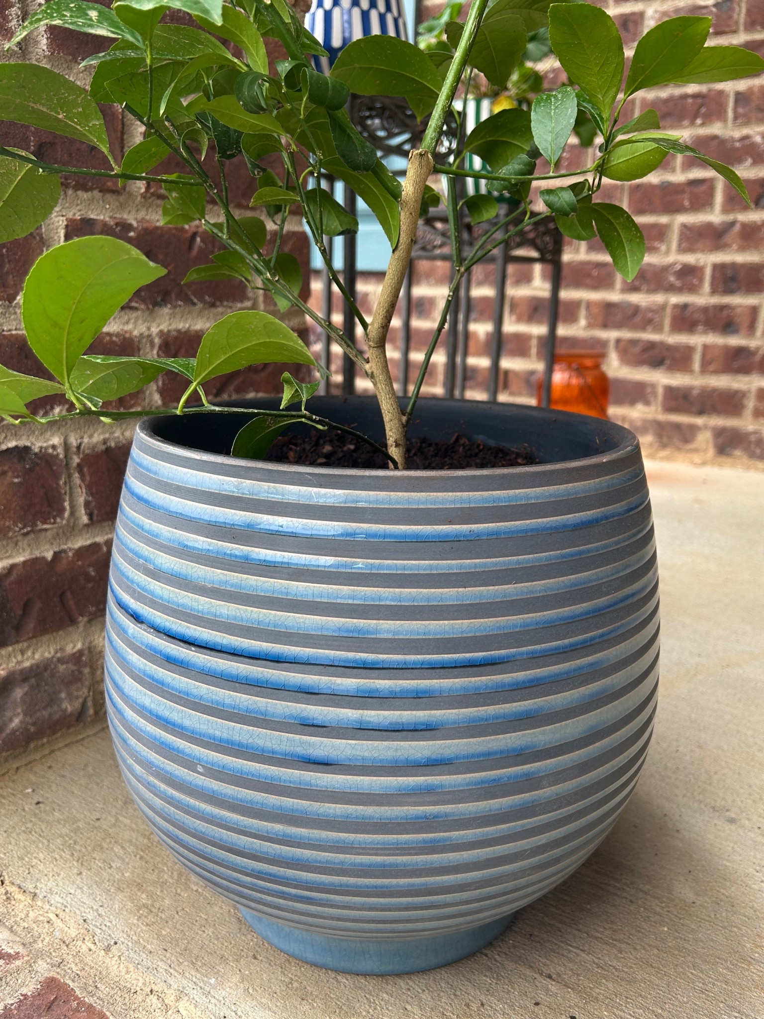 12” pot under $25