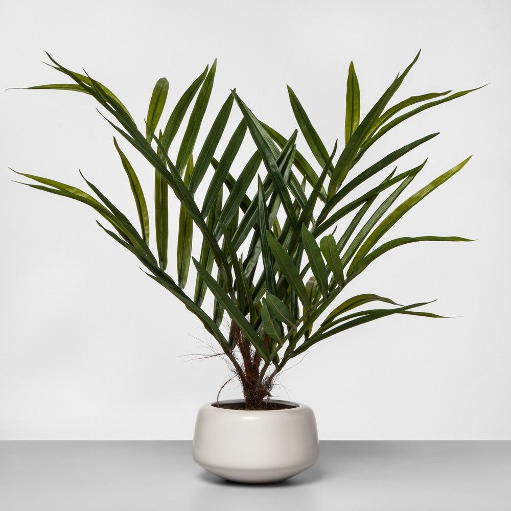 27"" x 16"" Artificial Potted Palm Green/White - Project 62 | Target