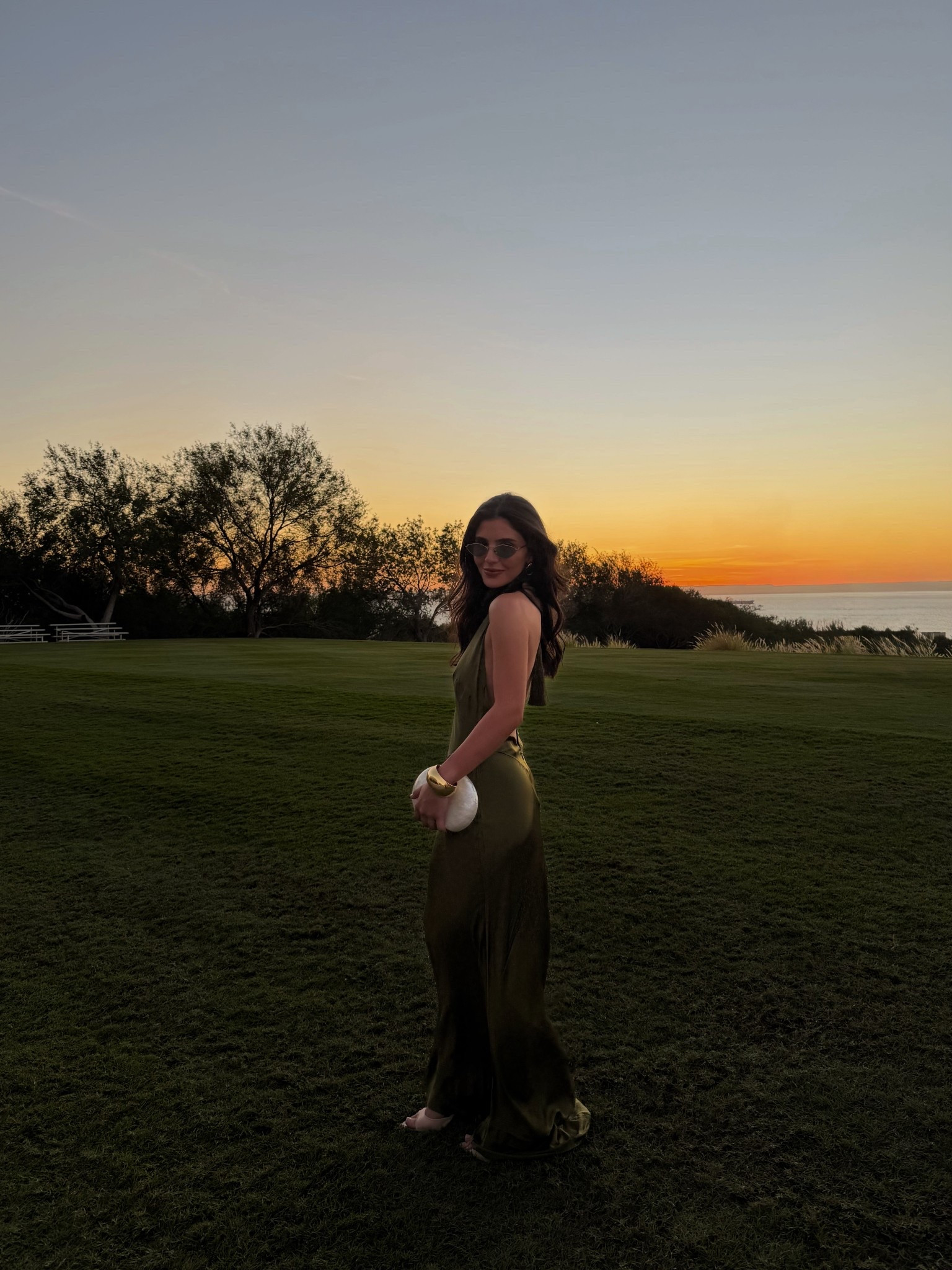 The perfect Wedding guest dress 