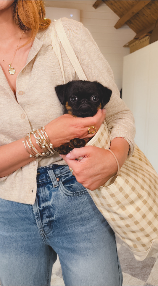 Spring finds from Target that are Stuart Approved! 👍🏻

 

 #LTKSeasonal #LTKOver40 #LTKFindsUnder50