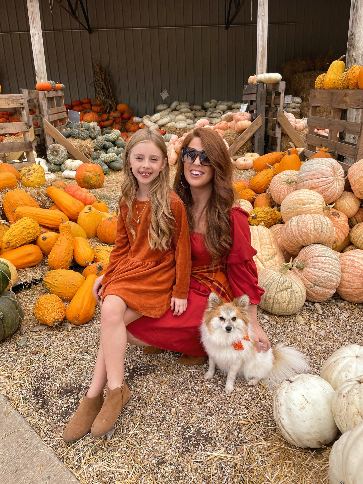 happy fall yall! pumpkin patch looks 

#LTKfamily #LTKSeasonal #LTKunder50