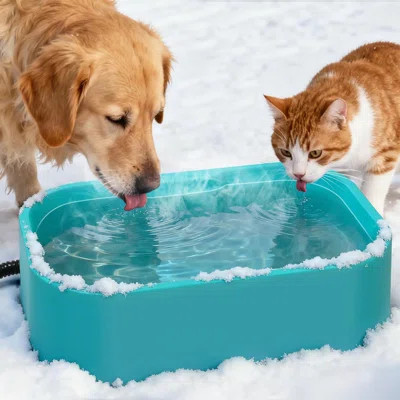 Extra Large Heated Water Bowl - 5.5L Outdoor Heated Dog Bowl With Long Cord, Keep Water Warm At 77-95℉ For Cats Dogs Rabbit Chicken Duck, BPA-Free, Gr | Wayfair North America