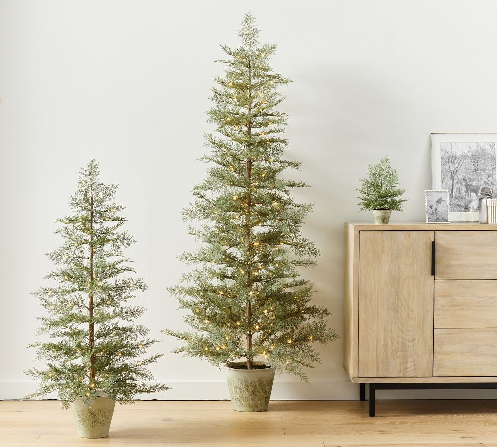 Faux Potted Cedar Trees | Pottery Barn (US)