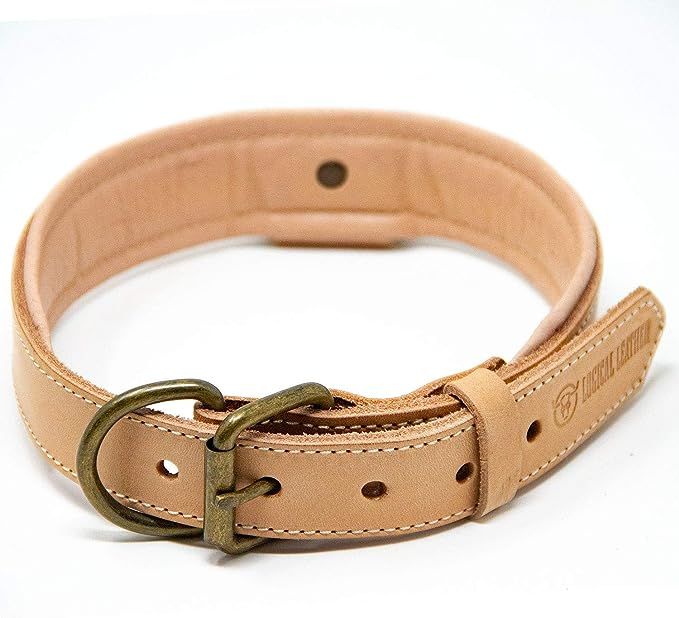 Logical Leather Deluxe Padded Genuine Full Grain Leather Collar | Amazon (US)
