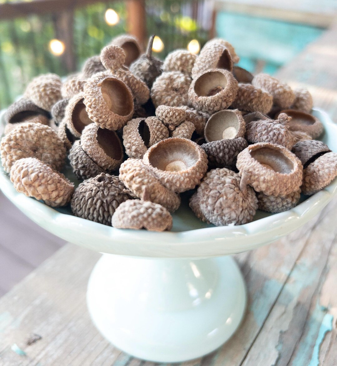 Acorn Hat for Felt Ball Crafting With Natural White Oak Tree Acorn Tops - Etsy | Etsy (US)