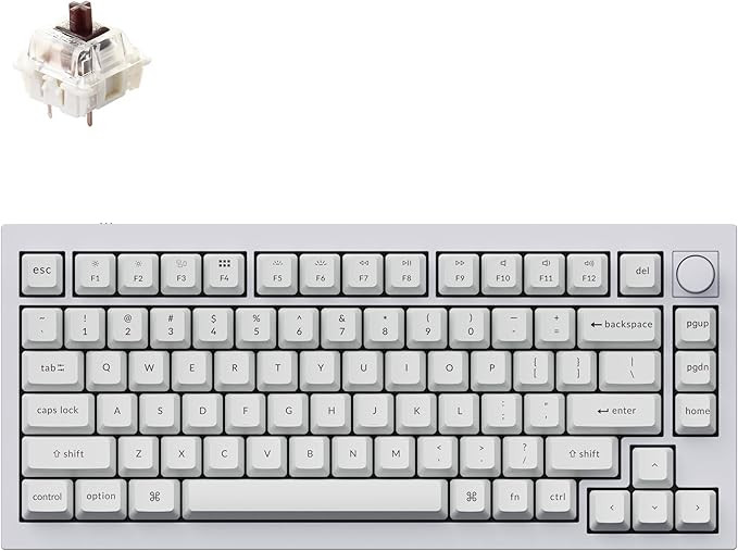 Keychron Q1 RGB Wired Custom Mechanical Keyboard, 75% Layout QMK/VIA Programmable Macro with Hot-... | Amazon (US)