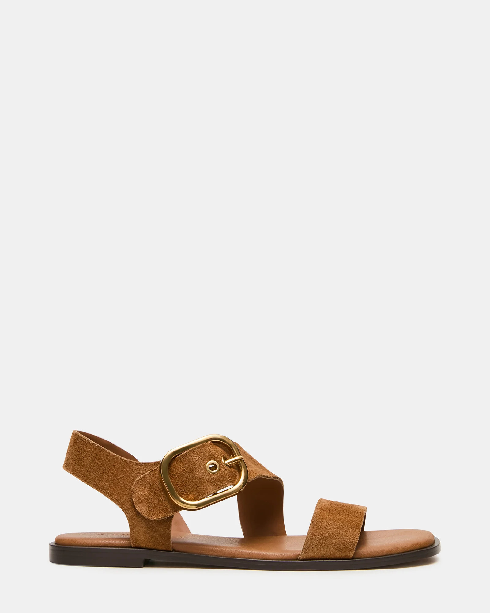 SAYER Dark Taupe Suede Square-Toe Buckle Women's Sandal | Steve Madden (US)