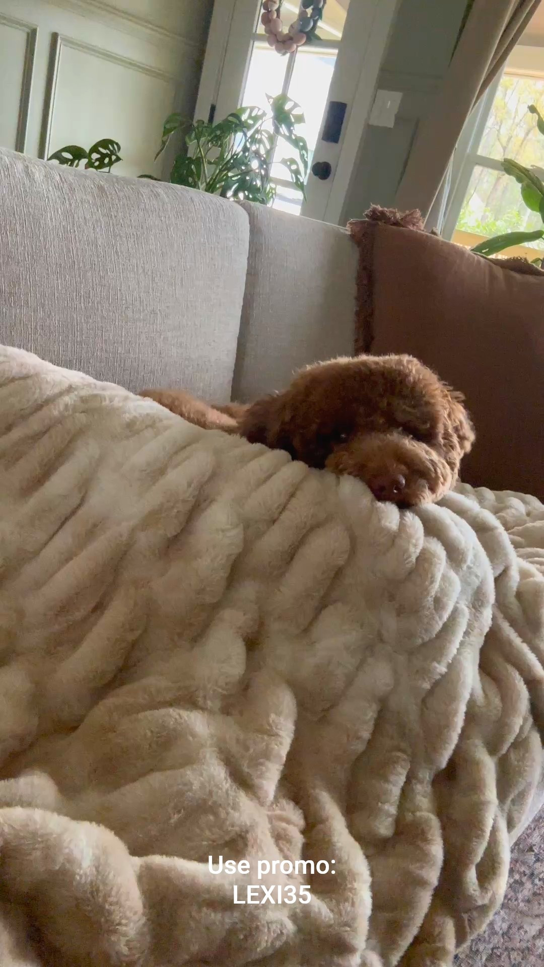 This blanket is 100000/10 use promo code LEXI35 for 35% off your order!

#LTKSaleAlert #LTKU #LTKHome