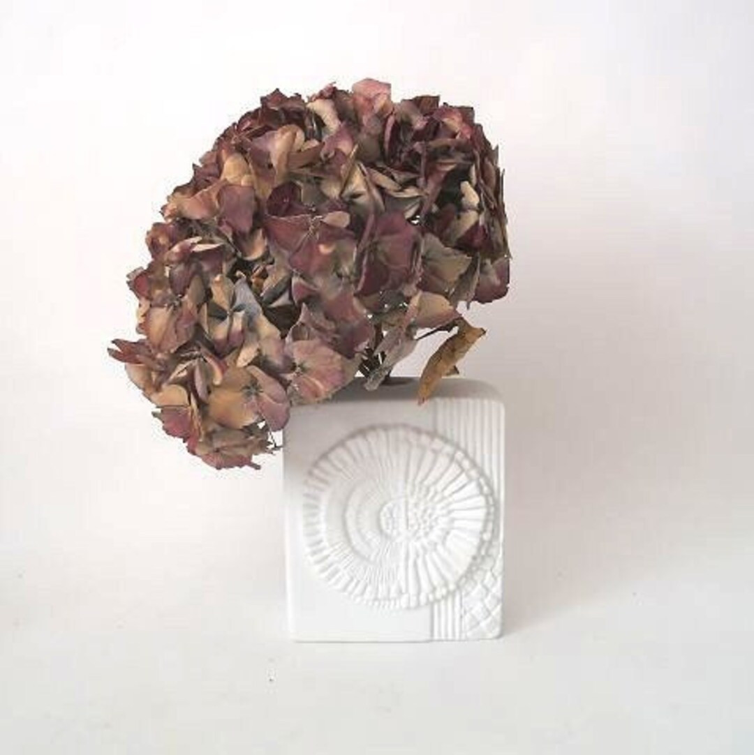 Vintage white unglazed vase, Kaiser biscuit porcelain vase, mid century bisquit vase, bisque matt... | Etsy (US)