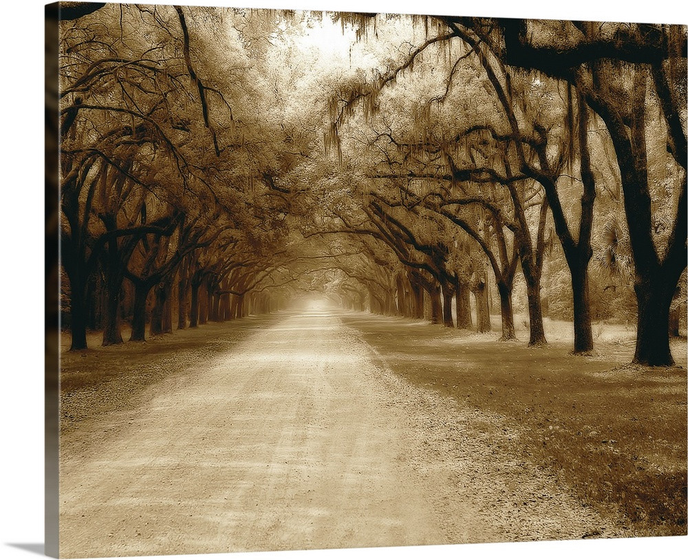 Savannah Oaks II Wall Art | Great Big Canvas - Dynamic