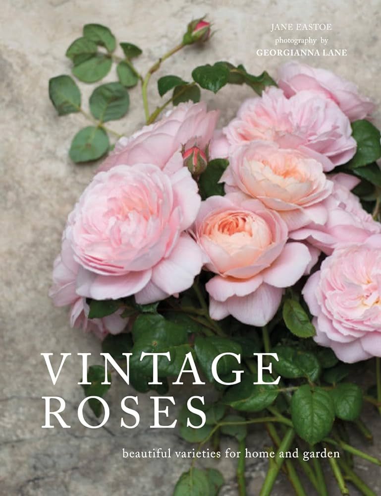 Vintage Roses: Beautiful Varieties for Home and Garden | Amazon (US)