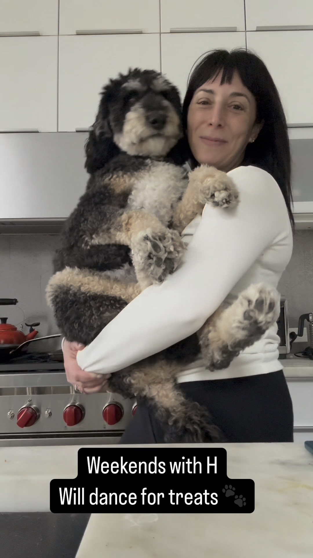 Weekends with Henri! Dance party 🐾

#LTKOver40