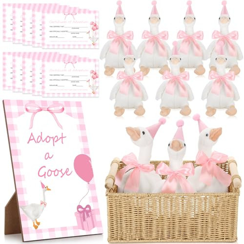 One Silly Goose Birthday Decoration 10 Sets 12 Inch Soft Goose Stuffed Animal Hat Adoption Cards with Wood Table Decor Adopt Birthday Gifts(Pink) | Amazon (US)