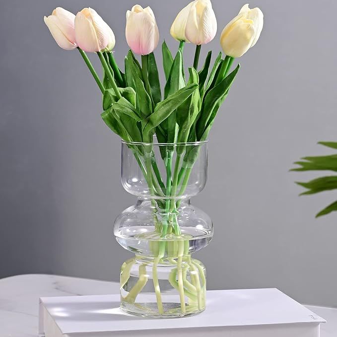 Clear Vases for Decor, 7 Inch Transparent Glass Vase Hydroponic Flower Vases Decorative for Home ... | Amazon (US)