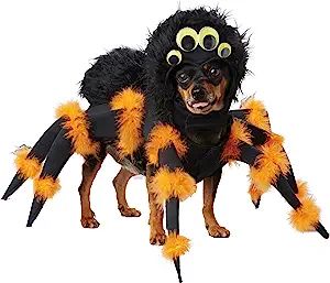 Amazon.com : Spider Pup Costume Medium : Pet Supplies | Amazon (US)