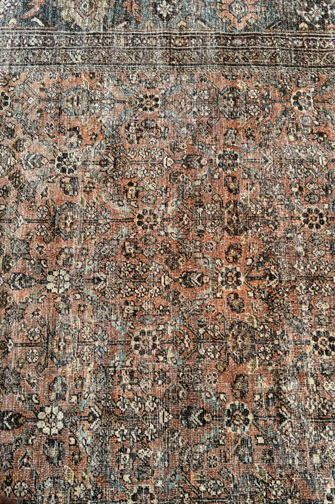 I love her. #rugs #arearug 