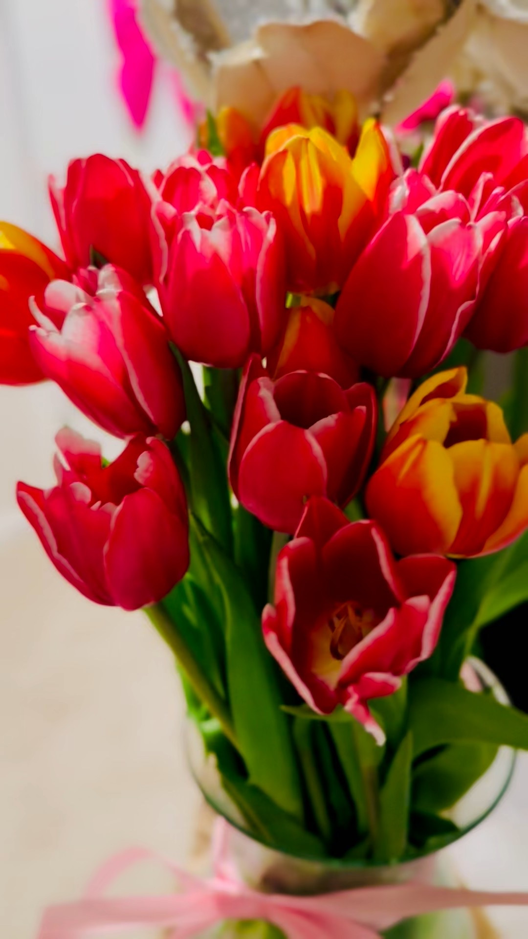 #LTKValentine #LTKSeasonal #LTKvlog