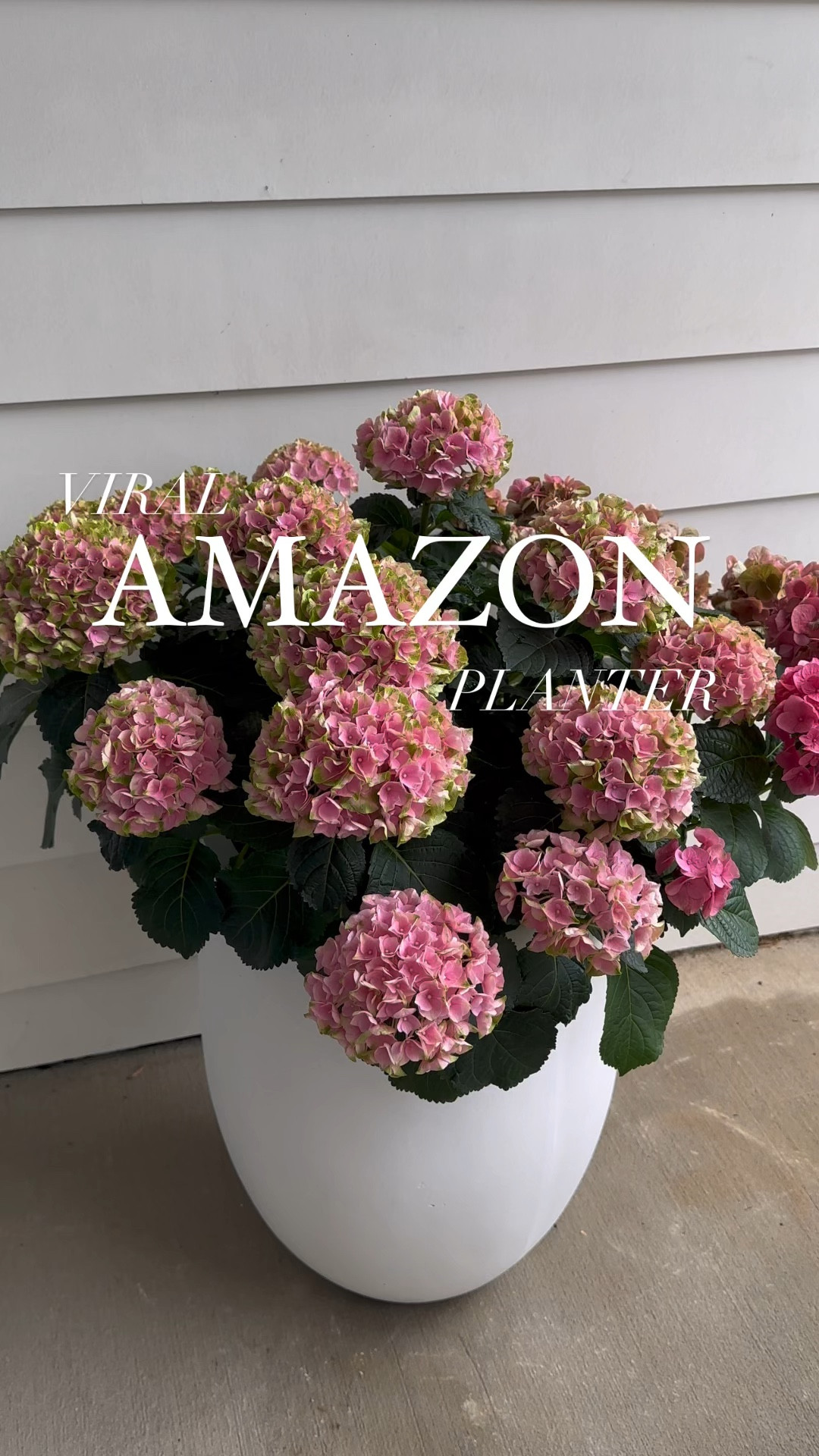 Viral AMAZON Planter

#LTKhome #LTKFind #LTKunder100