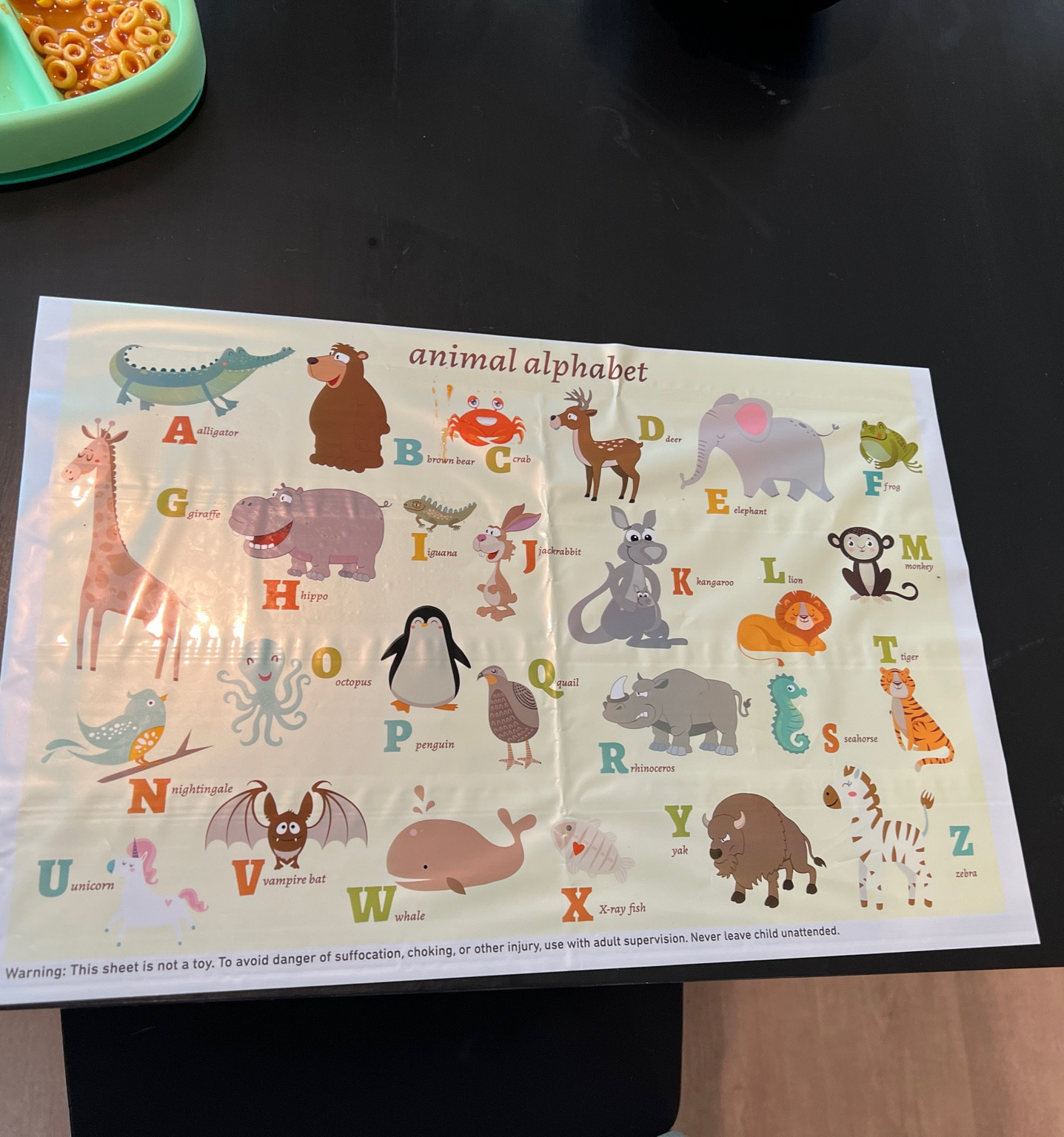 The BEST placemats for easy clean up at home or in public!!!