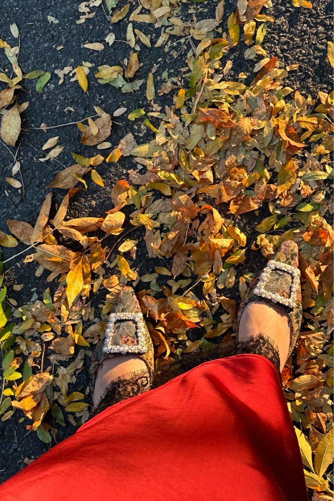 These shoes. That’s all 


Fall shoes | sam Edelman | kitten heels 

#LTKSeasonal #LTKshoecrush