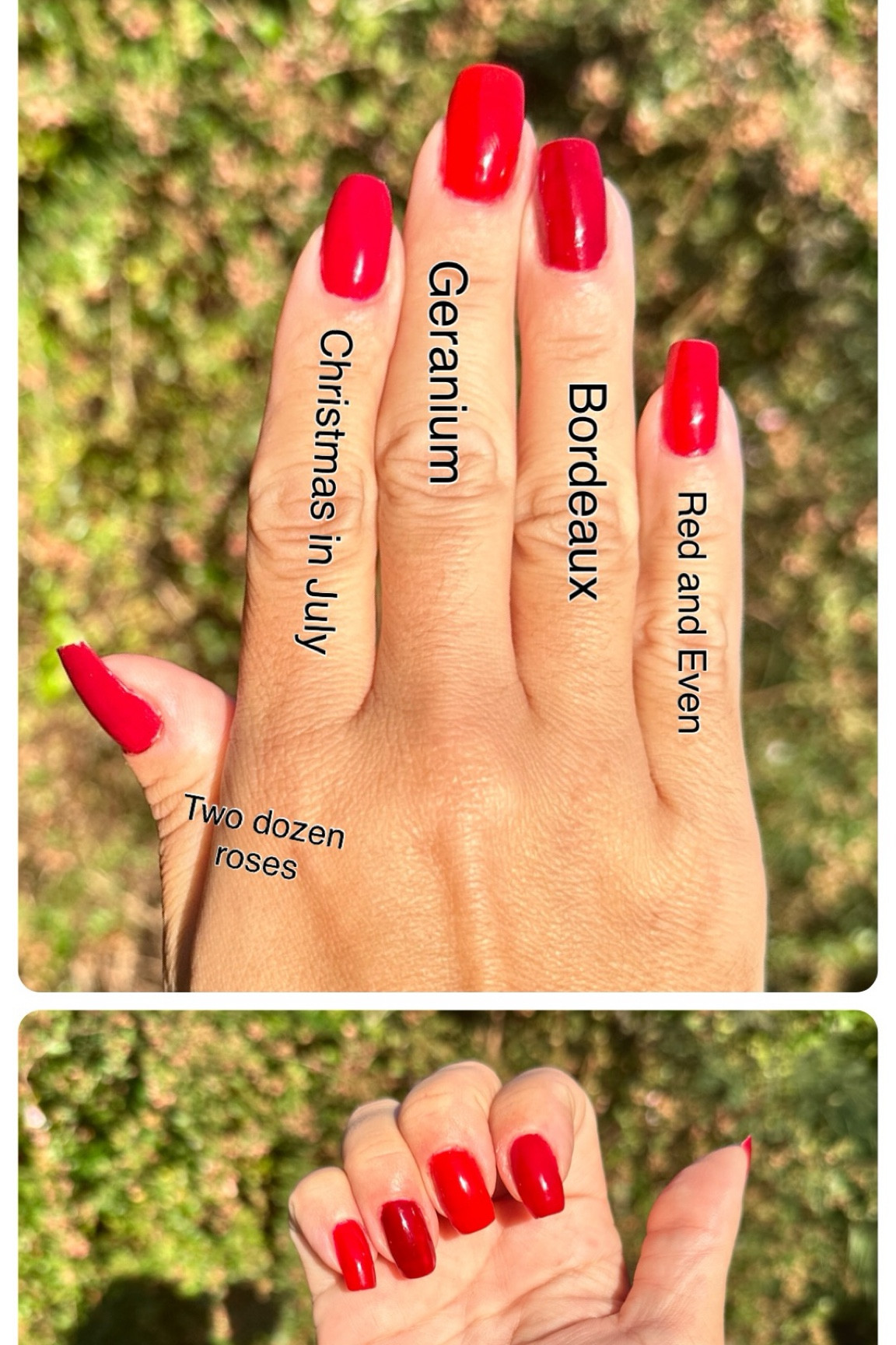 Swatching my favorite red nail polishes from karma organics

#LTKBeauty #LTKSaleAlert #LTKHoliday