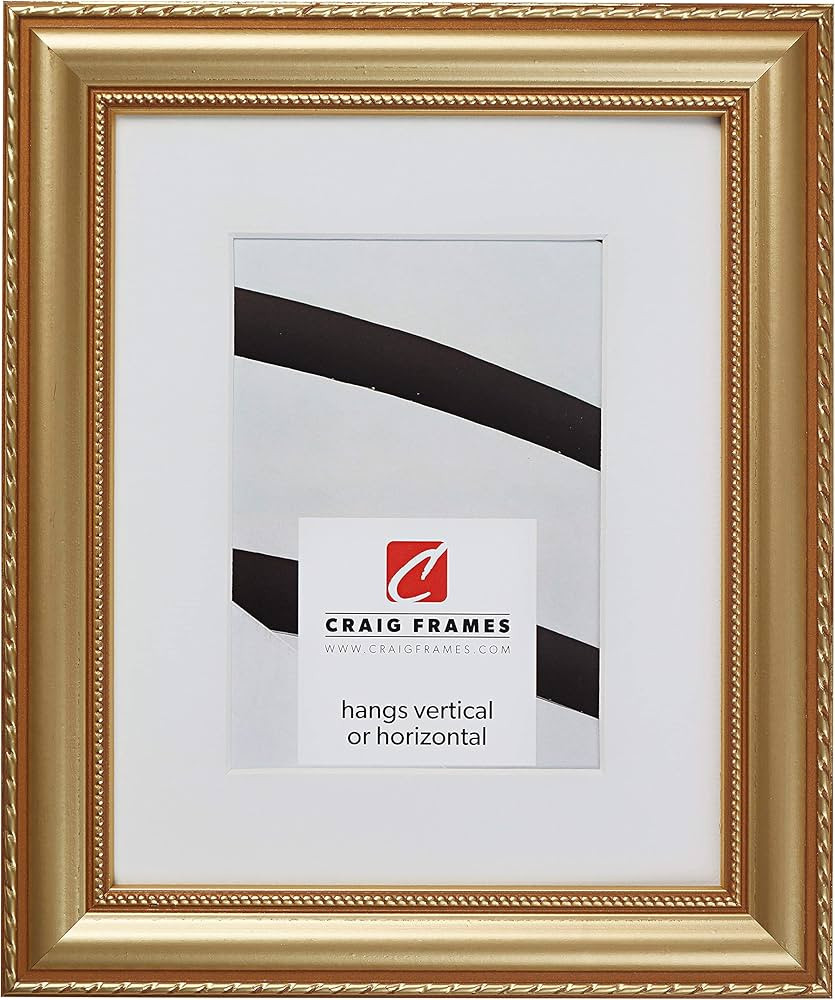 Craig Frames Victoria, 20 x 24 Inch Ornate Gold Picture Frame Matted to Display a 16 x 20 Inch Ph... | Amazon (US)