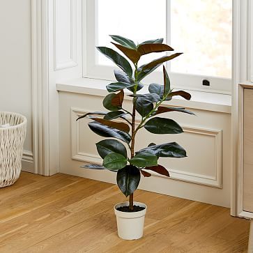 Faux Potted Rubber Tree, 39" | West Elm (US)