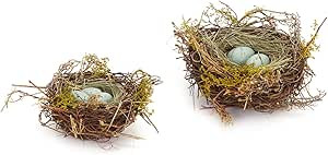 Amazon.com: The Bridge Collection Faux Decorative Bird's Egg Nest - Cute Bird Nest with Eggs Tabl... | Amazon (US)
