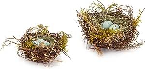 Amazon.com: The Bridge Collection Faux Decorative Bird's Egg Nest - Cute Bird Nest with Eggs Tabl... | Amazon (US)
