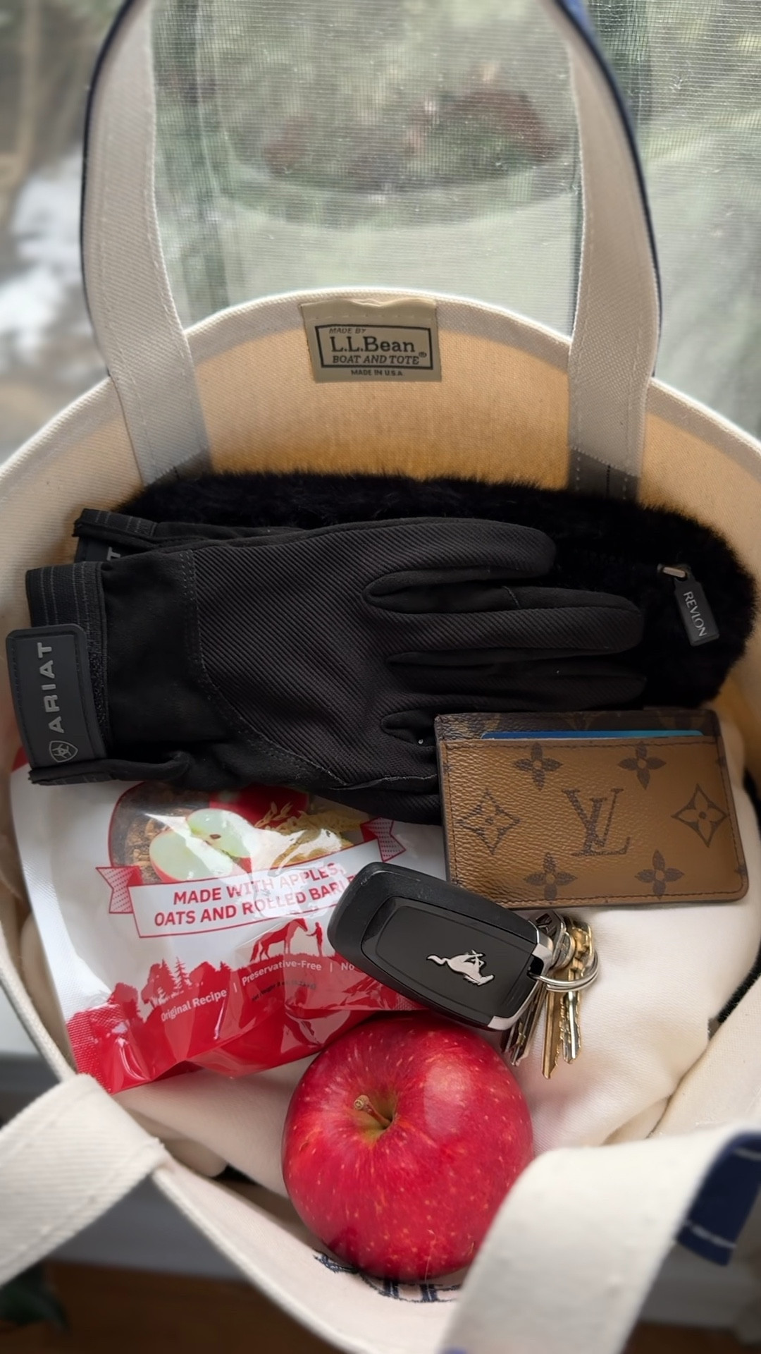 Equestrian bag from LL bean

#LTKmidsize #LTKfindsunder100