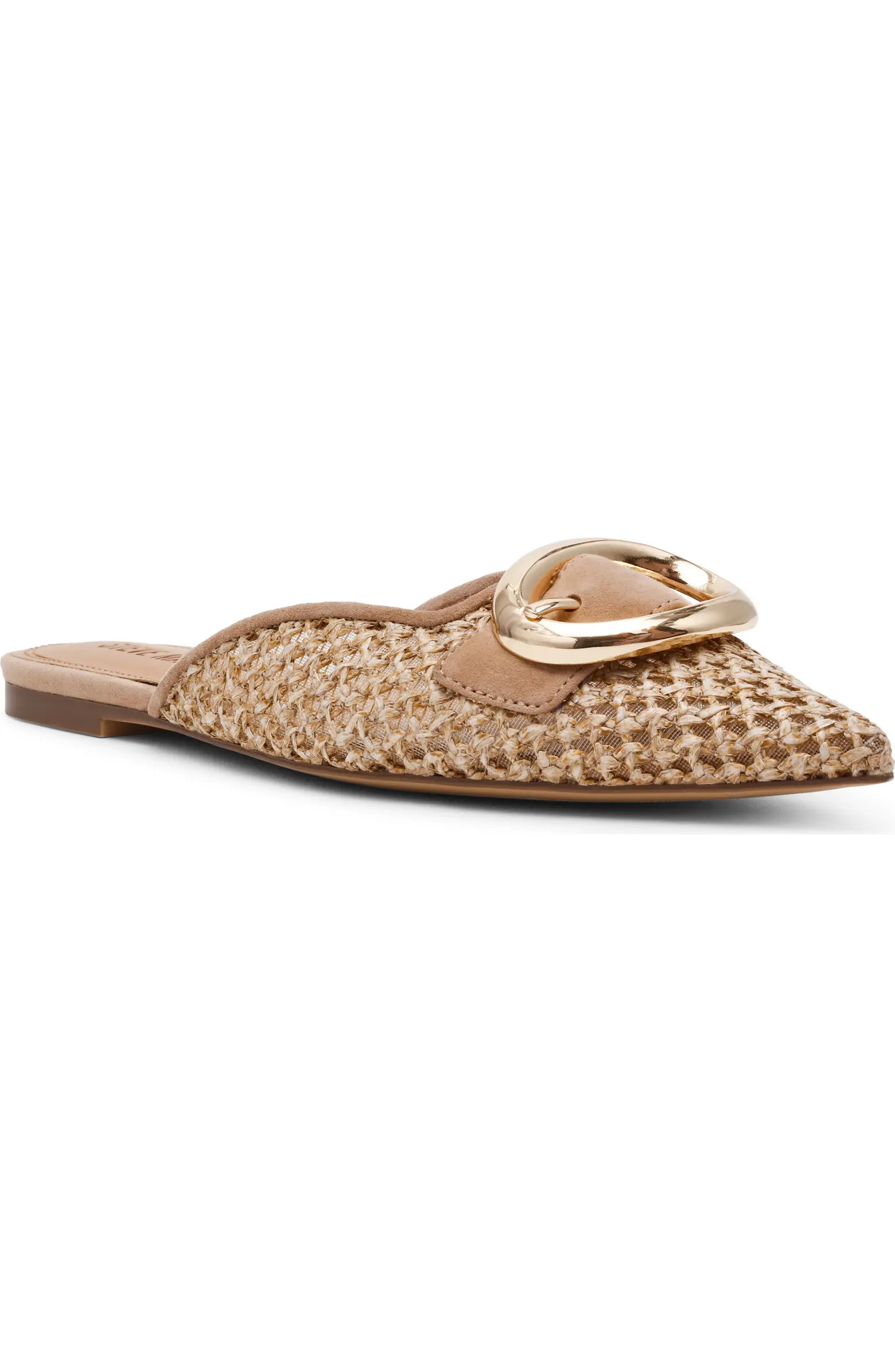 Steve Madden Ira Pointed Toe Mule (Women) | Nordstrom | Nordstrom