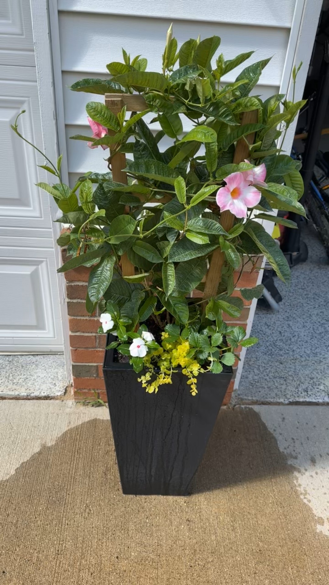 Planter sets 

#LTKHome #LTKSeasonal #LTKFamily