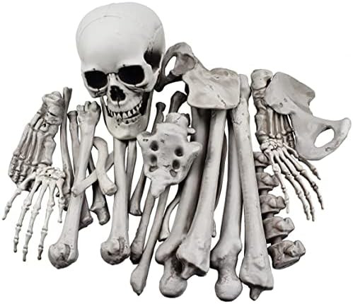 28 Pieces Skeleton Bones and Skull for Halloween Decor or Spooky Graveyard Ground Decoration | Amazon (US)